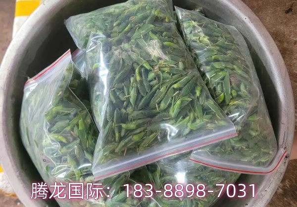 越南有一种乡村美食，许多人见过，但不一定敢吃