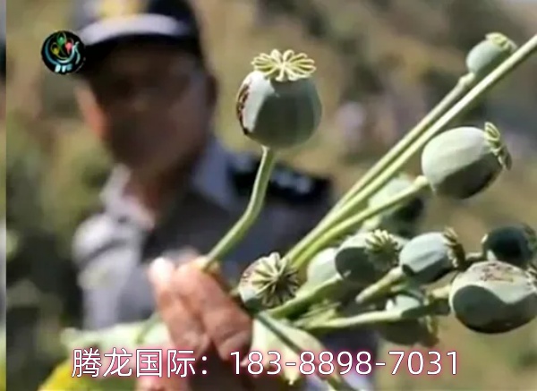 缅甸又上这个名单！民众：我麻了